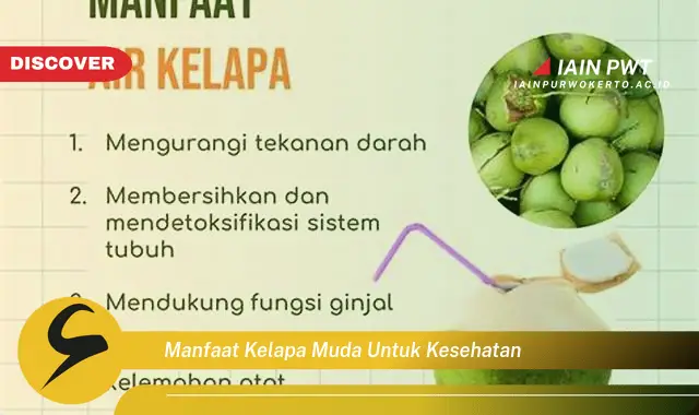 manfaat kelapa muda untuk kesehatan