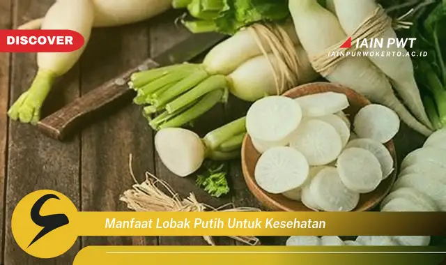 manfaat lobak putih untuk kesehatan