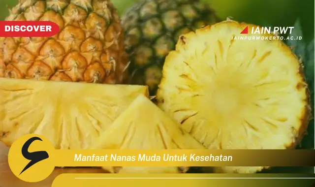 manfaat nanas muda untuk kesehatan