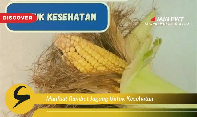 manfaat rambut jagung untuk kesehatan