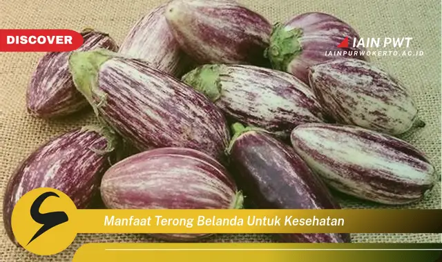 manfaat terong belanda untuk kesehatan