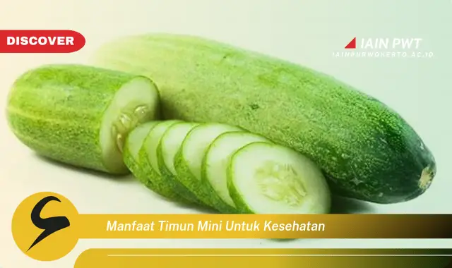 manfaat timun mini untuk kesehatan