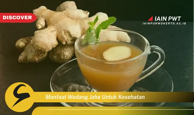 manfaat wedang jahe untuk kesehatan