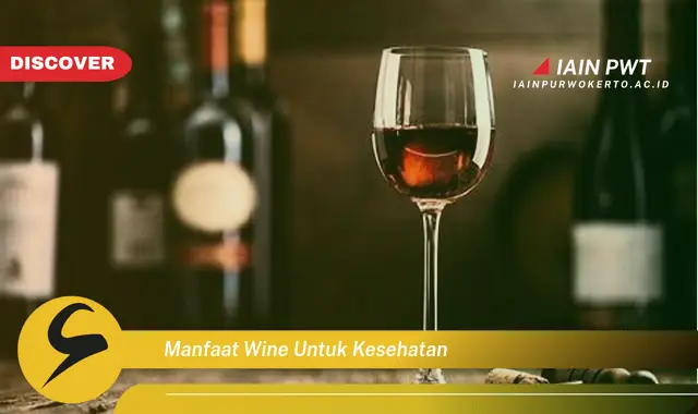 Temukan 5 Manfaat Kesehatan Wine yang Jarang Diketahui - Discover