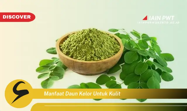 manfaat daun kelor untuk kulit