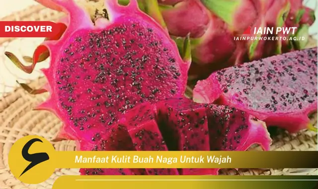 manfaat kulit buah naga untuk wajah