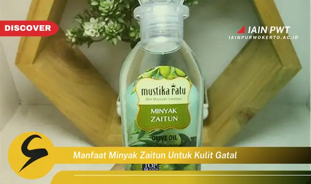 manfaat minyak zaitun untuk kulit gatal