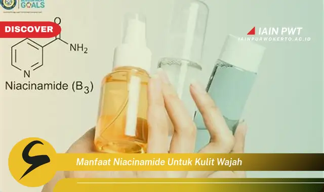 manfaat niacinamide untuk kulit wajah