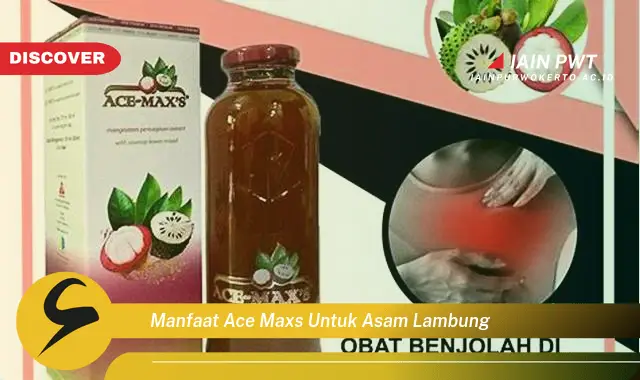 manfaat ace maxs untuk asam lambung