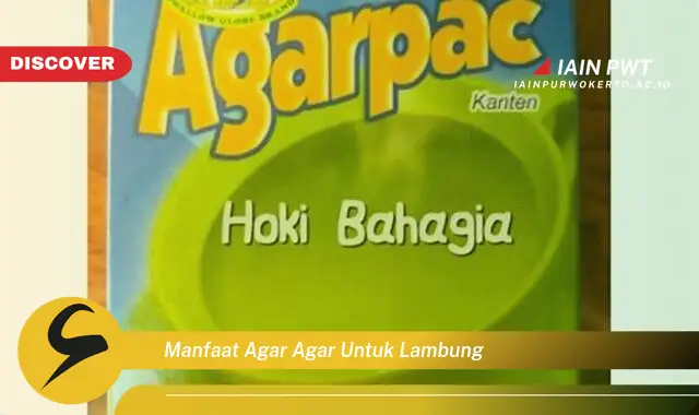 manfaat agar agar untuk lambung