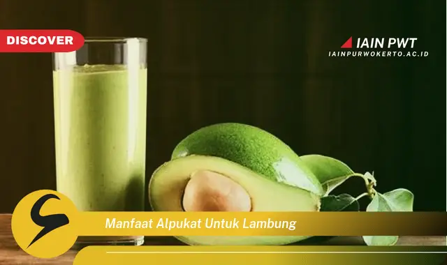 manfaat alpukat untuk lambung