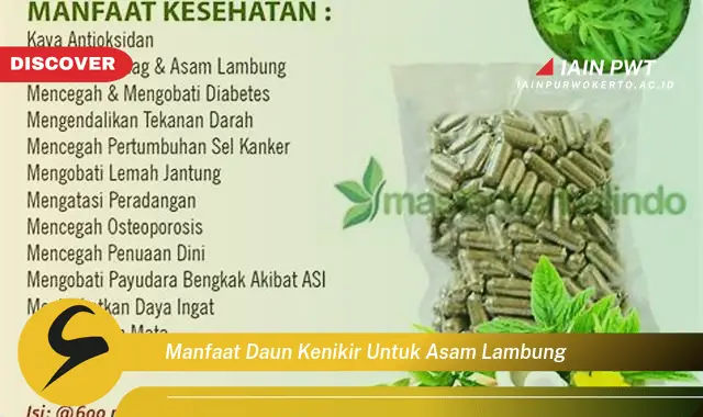 manfaat daun kenikir untuk asam lambung