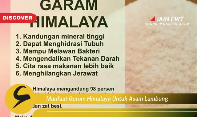 manfaat garam himalaya untuk asam lambung