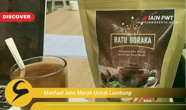 manfaat jahe merah untuk lambung