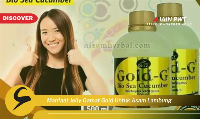 manfaat jelly gamat gold untuk asam lambung