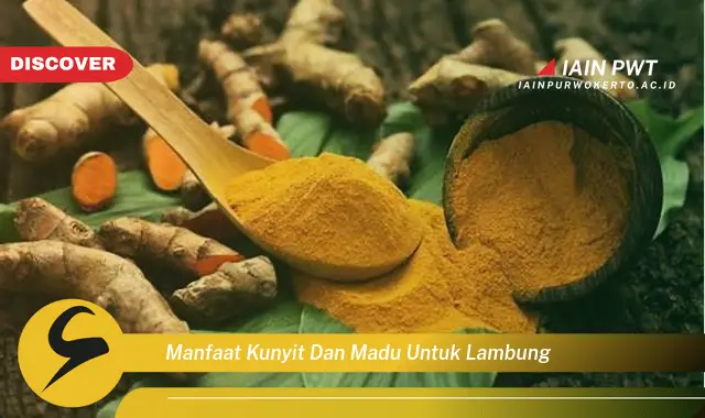 manfaat kunyit dan madu untuk lambung