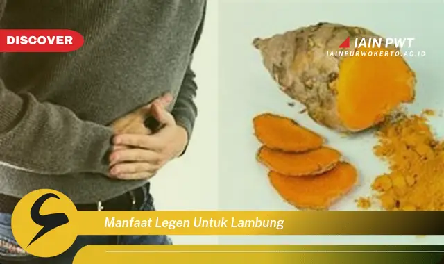 manfaat legen untuk lambung