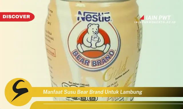 manfaat susu bear brand untuk lambung