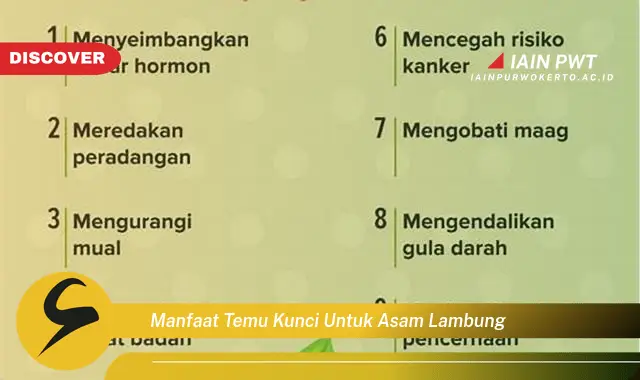 manfaat temu kunci untuk asam lambung