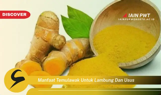 manfaat temulawak untuk lambung dan usus