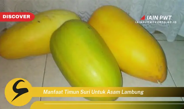 manfaat timun suri untuk asam lambung