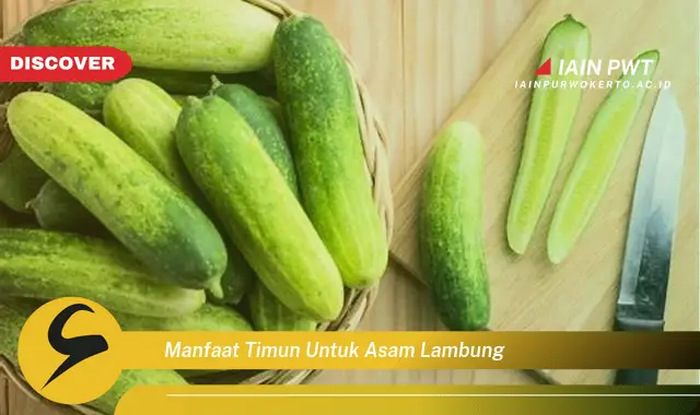 manfaat timun untuk asam lambung