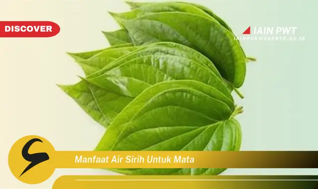 manfaat air sirih untuk mata