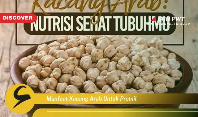 manfaat kacang arab untuk promil