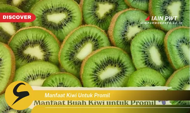 manfaat kiwi untuk promil