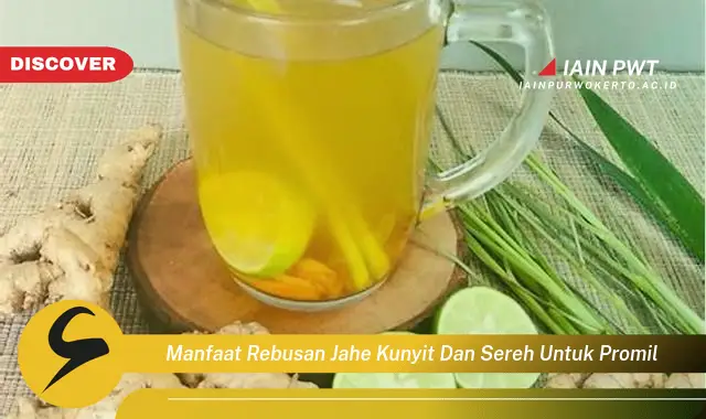 manfaat rebusan jahe kunyit dan sereh untuk promil