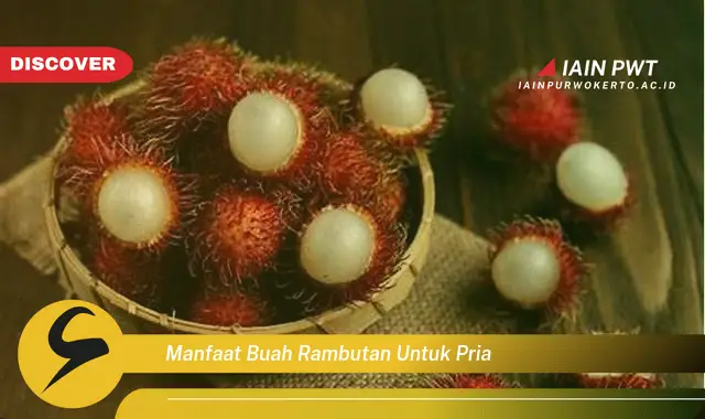 manfaat buah rambutan untuk pria