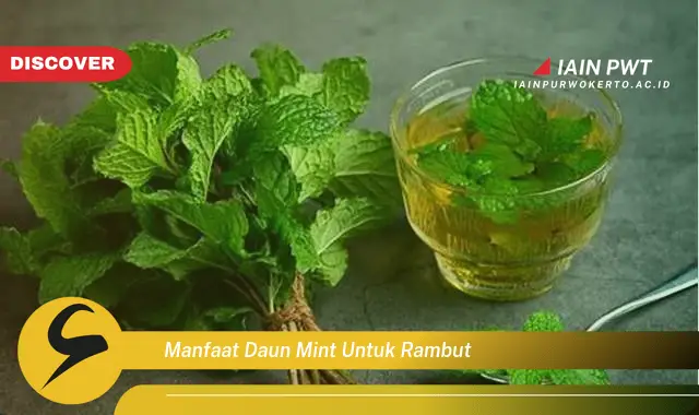 manfaat daun mint untuk rambut