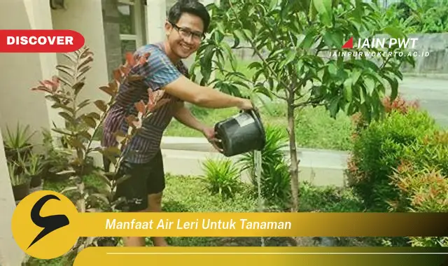 manfaat air leri untuk tanaman manfaat air leri untuk tanaman
