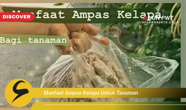 manfaat ampas kelapa untuk tanaman