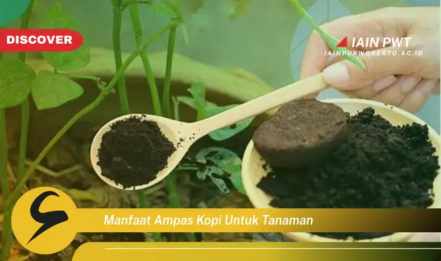 manfaat ampas kopi untuk tanaman