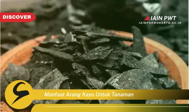 manfaat arang kayu untuk tanaman