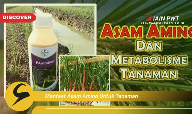 manfaat asam amino untuk tanaman