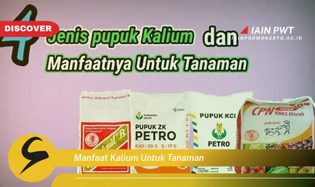 manfaat kalium untuk tanaman