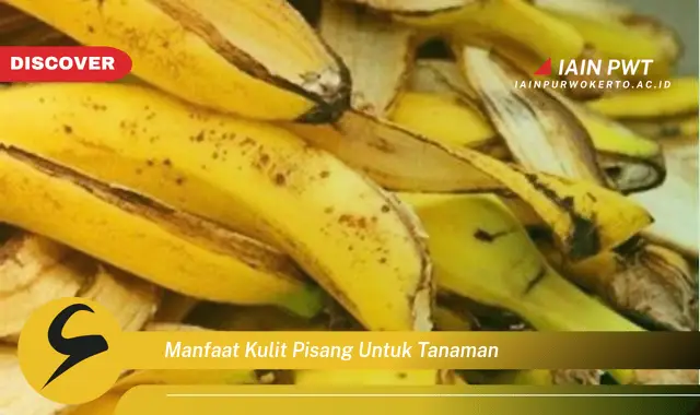 manfaat kulit pisang untuk tanaman