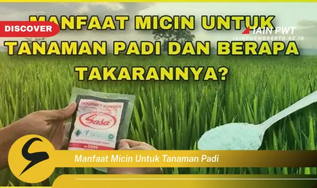 manfaat micin untuk tanaman padi