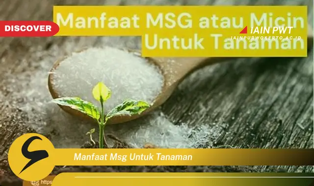 manfaat msg untuk tanaman