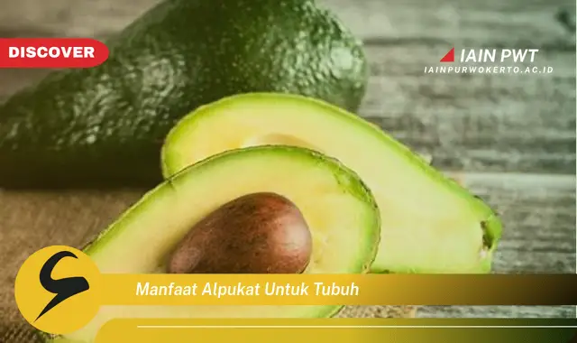 manfaat alpukat untuk tubuh