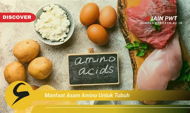 manfaat asam amino untuk tubuh