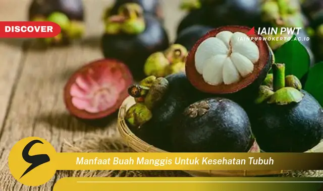 manfaat buah manggis untuk kesehatan tubuh