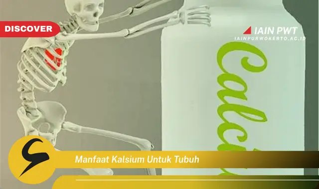 manfaat kalsium untuk tubuh