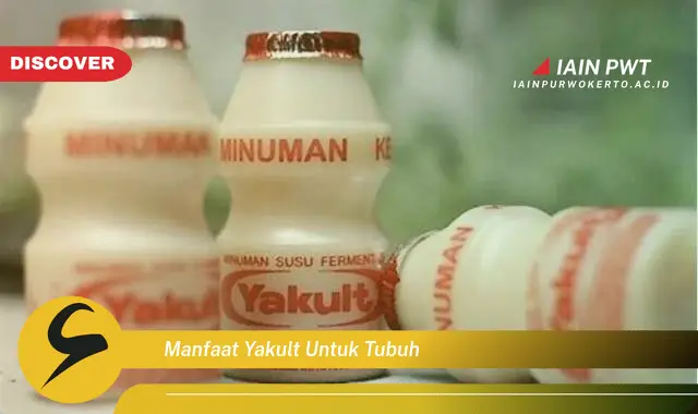 manfaat yakult untuk tubuh