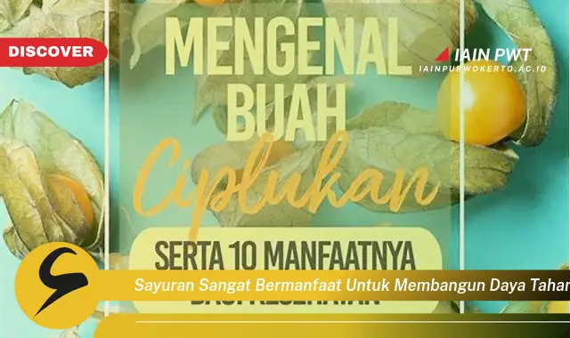 sayuran sangat bermanfaat untuk membangun daya tahan tubuh karena mengandung