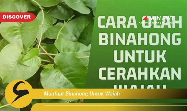 manfaat binahong untuk wajah