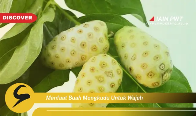 manfaat buah mengkudu untuk wajah