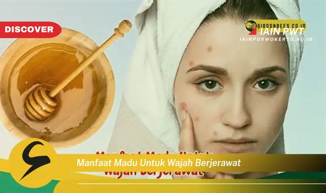 manfaat madu untuk wajah berjerawat manfaat madu untuk wajah berjerawat